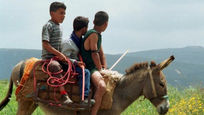 في لبنان.. الأهالي يستعملون الحمير لتوصيل أطفالهم إلى المدارس (فيديو)