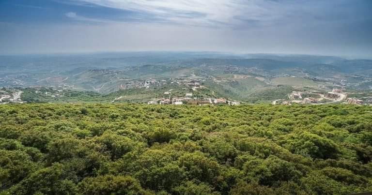إسرائيل تنفي انفجار طائرة لها جنوب لبنان