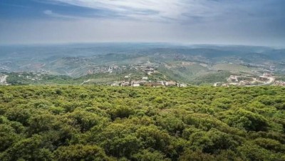 إسرائيل تنفي انفجار طائرة لها جنوب لبنان